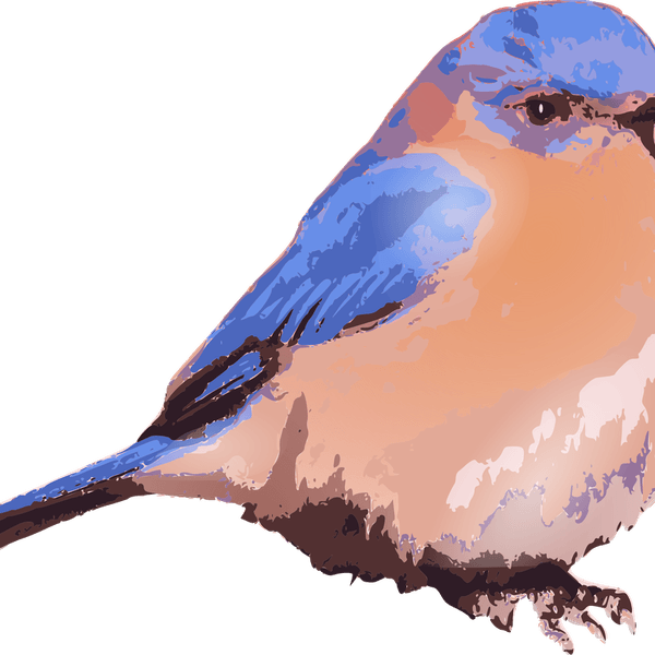 Bluebird PNG