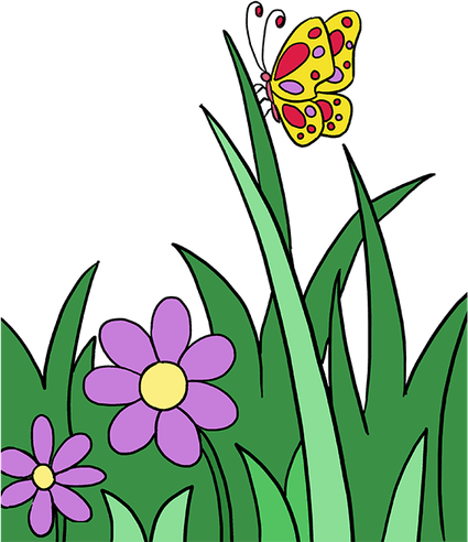 Butterfly Drawing PNG