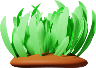 Meadow Grass PNG