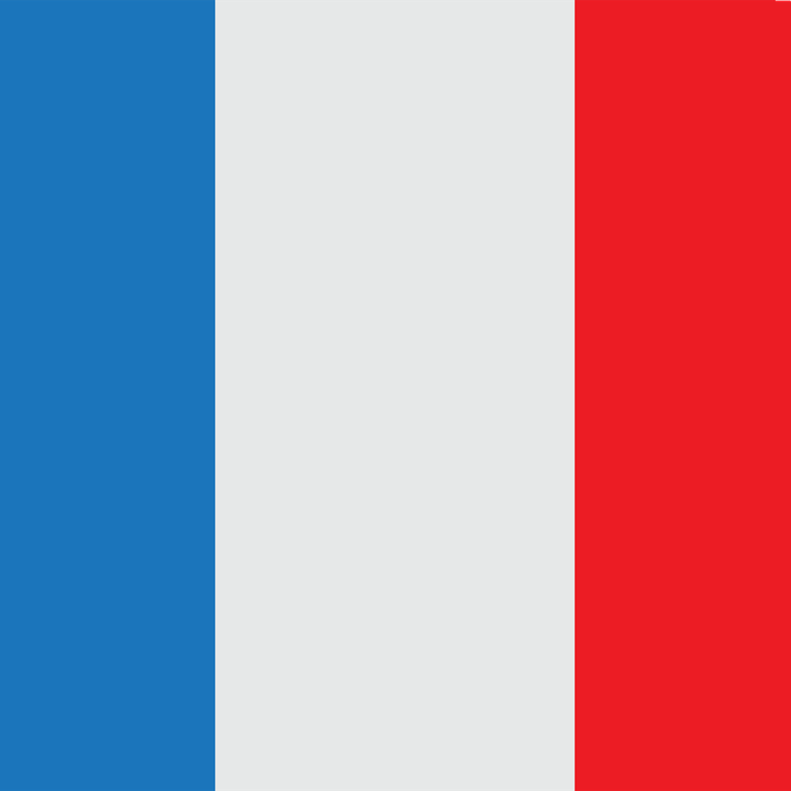 France Flag Circle PNG