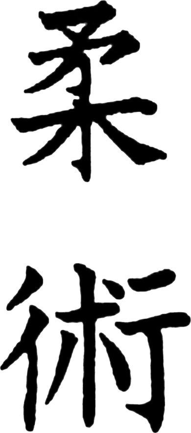 Ju Jitsu PNG