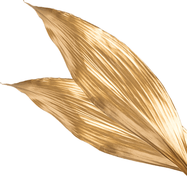Gold Leaf PNG