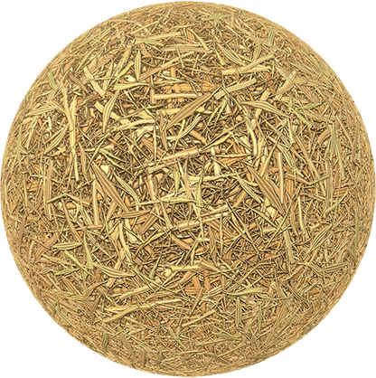 Dry Grass PNG