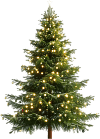 Light Christmas Tree PNG