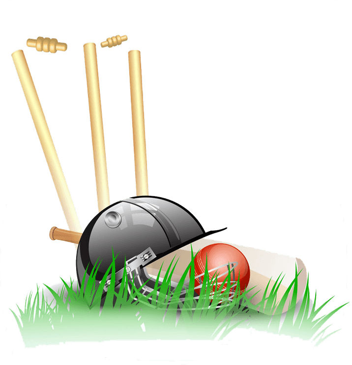 Wicket PNG