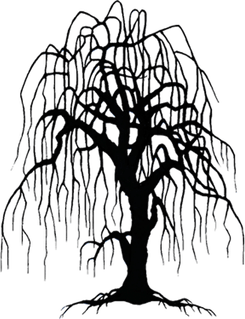 Black Willow Tree PNG