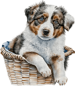 Farm Dog PNG