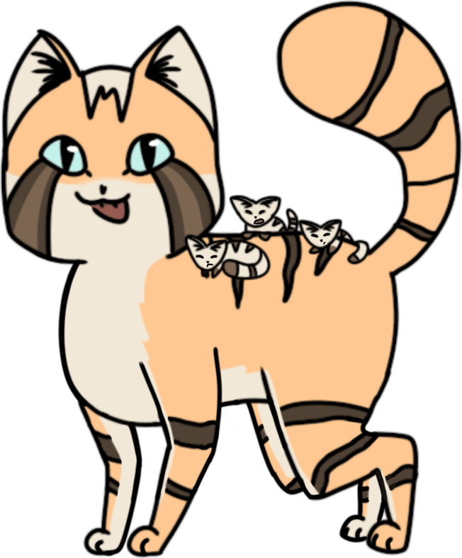 Cat Drawing PNG