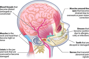 Head Skull PNG