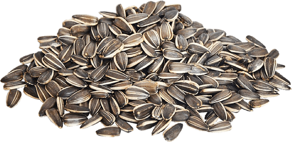 Sunflower Seeds PNG