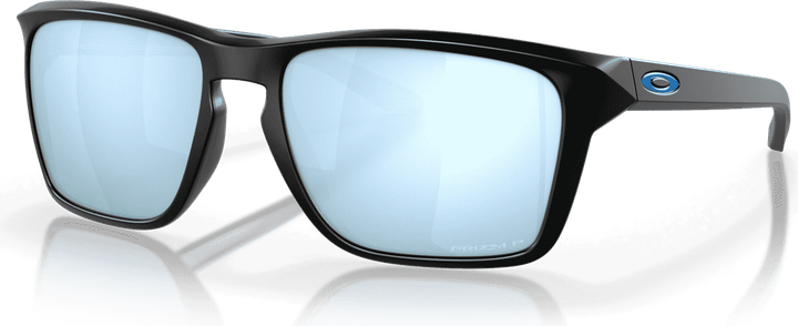 Guy Sunglasses PNG