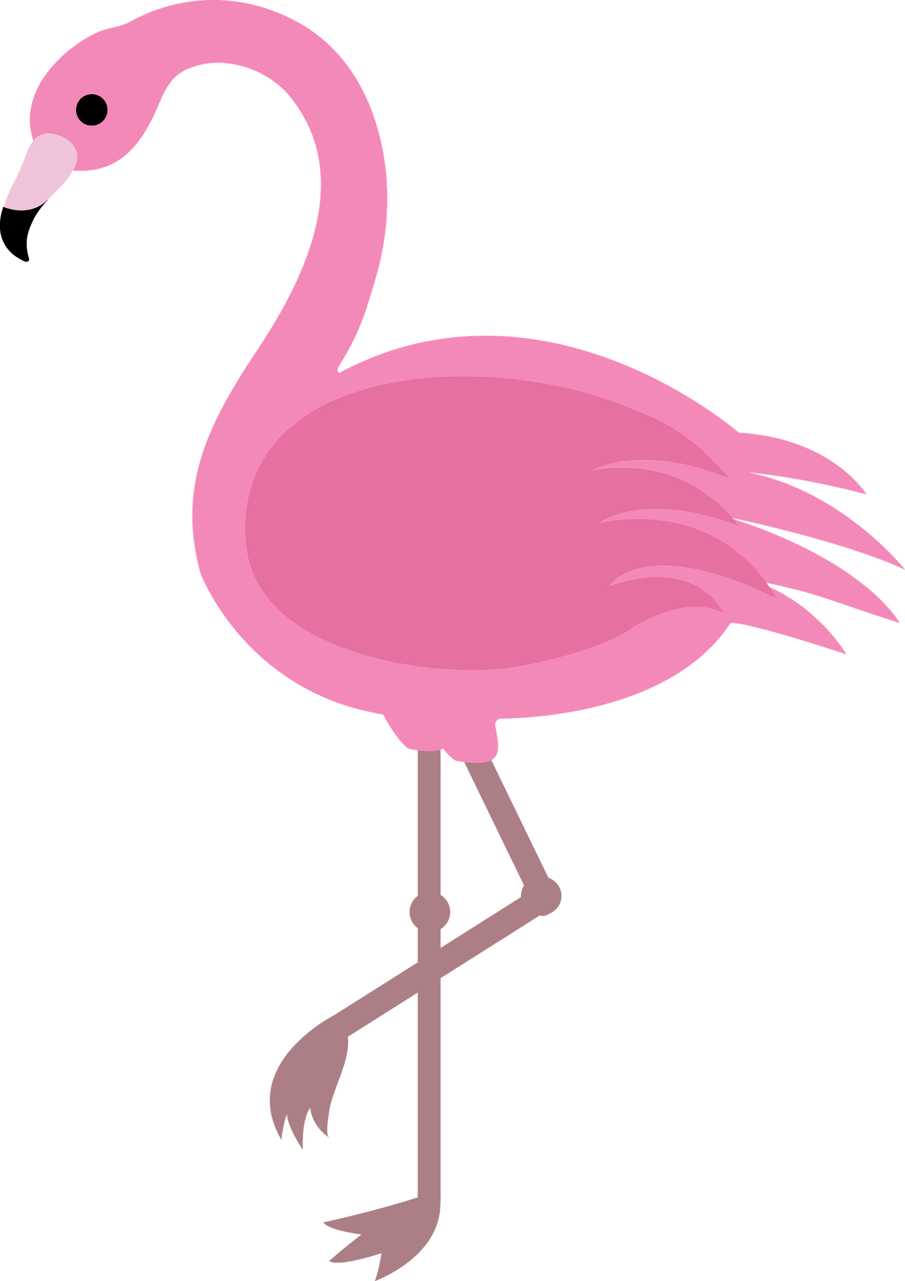 Flamingo PNG