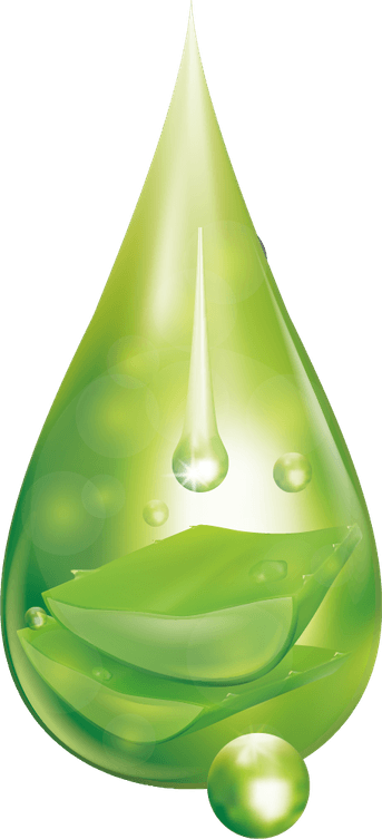 Water Leaf PNG