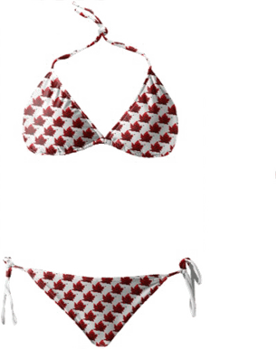 Bikini PNG