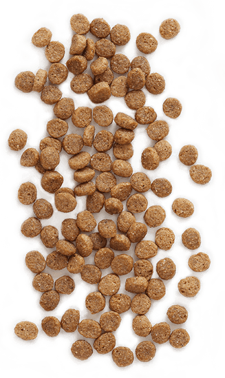 Dog Food PNG