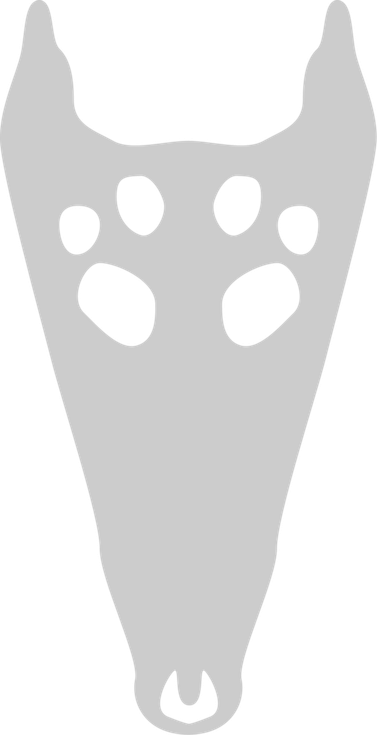 Crocodile Skull PNG