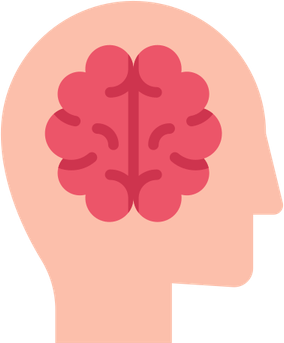 Human Brain PNG