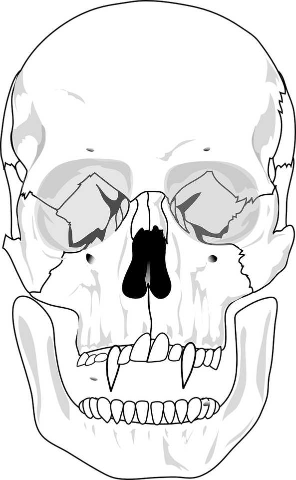 Devil Skull PNG