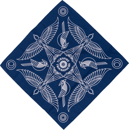 Blue Bandana PNG