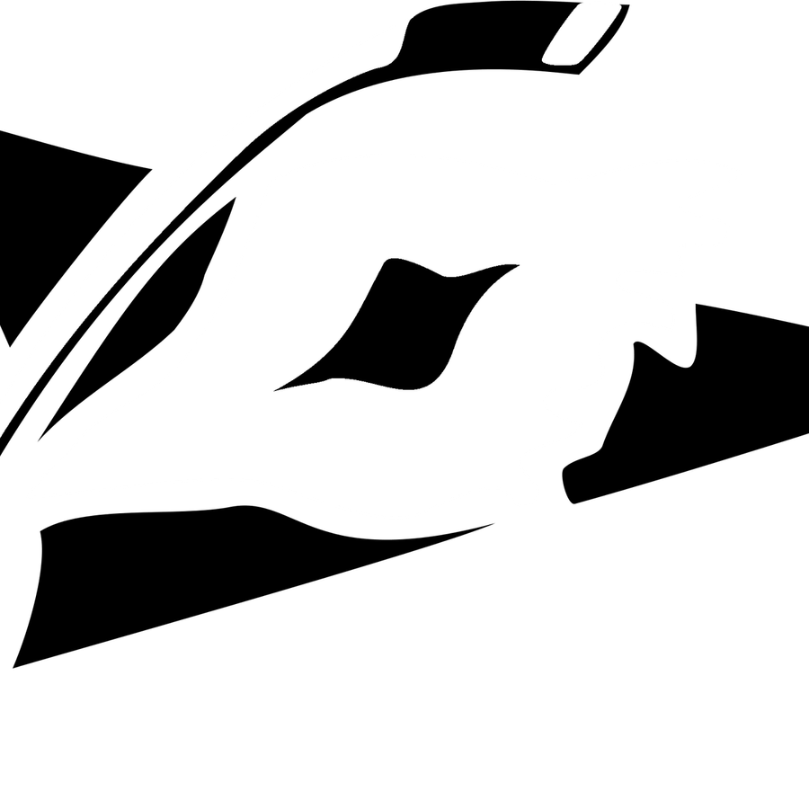 Carolina Hurricanes PNG