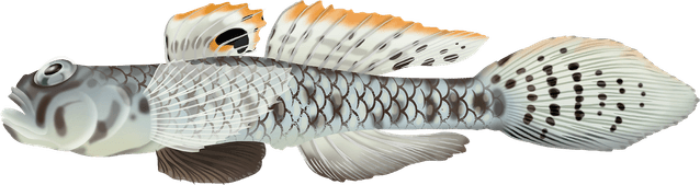 Glowing Fish PNG