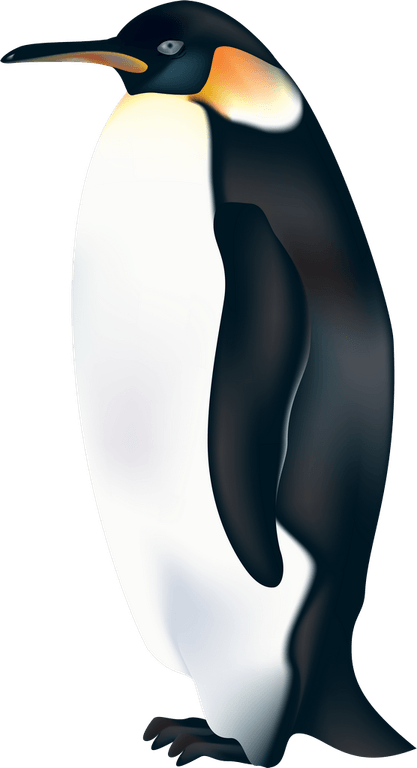 Emperor Penguin PNG