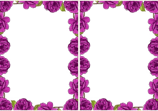 Lilac PNG