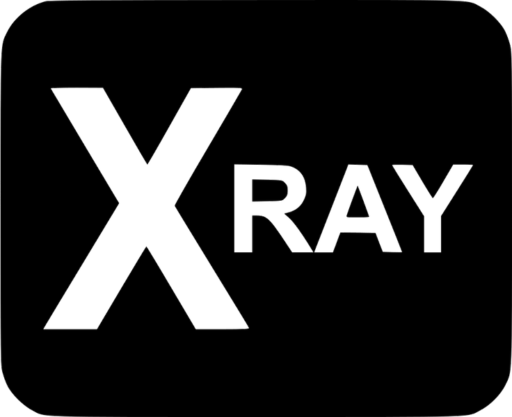 X Ray PNG