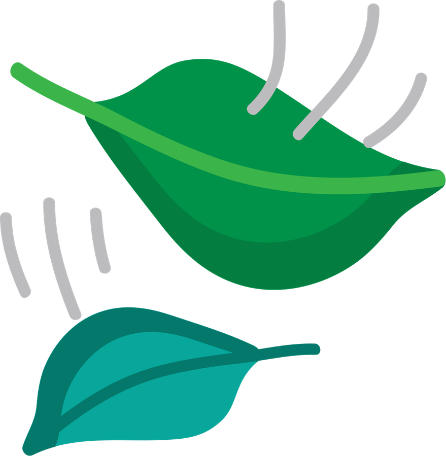 Leaf Emoji PNG