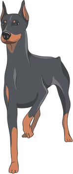 Doberman PNG