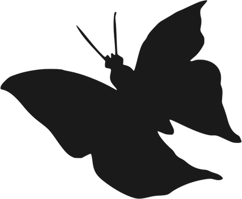 Flying Butterfly PNG