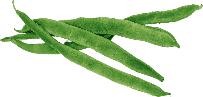Green Beans PNG