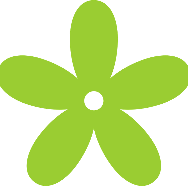 70s Flower PNG