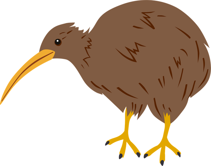 Kiwi Bird PNG