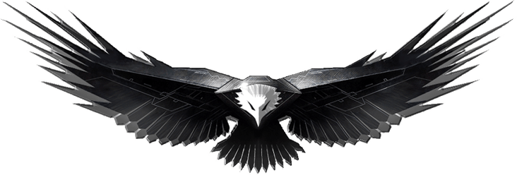 Black And White Bald Eagle PNG