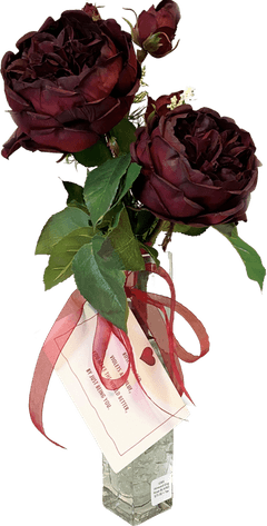 England Rose PNG