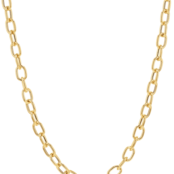 Necklace Chain PNG
