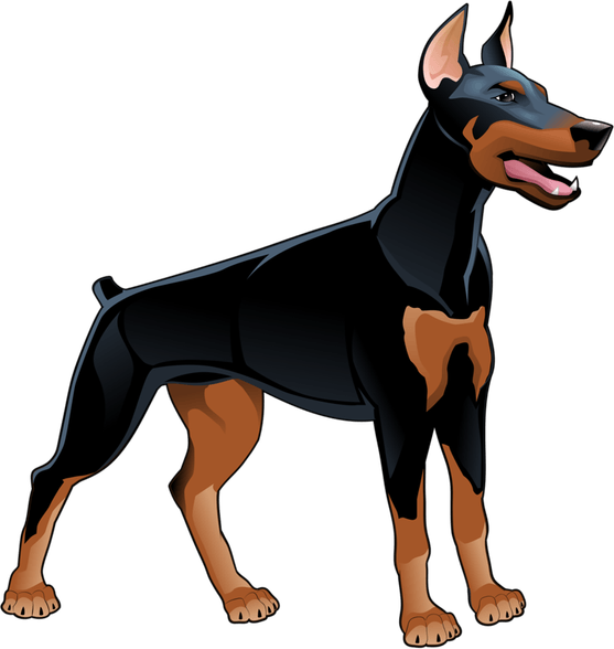 Doberman PNG
