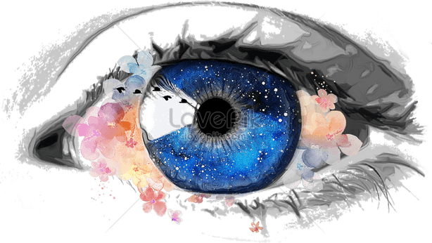 Eyeball Drawing PNG
