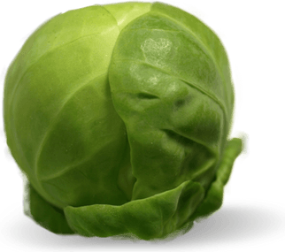 Brussel Sprout PNG