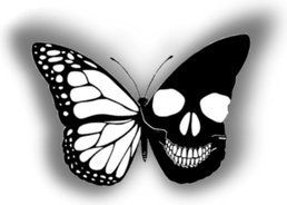 Skull Butterfly PNG