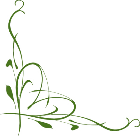 Jungle Vines PNG