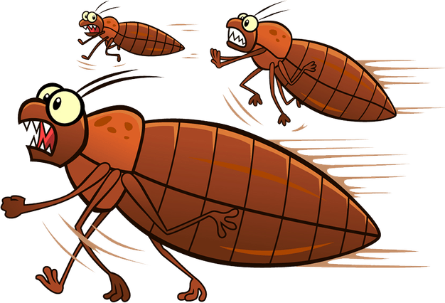 Bed Bug PNG