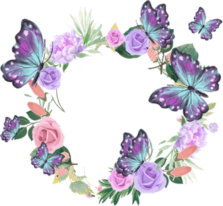 Colorful Butterfly PNG