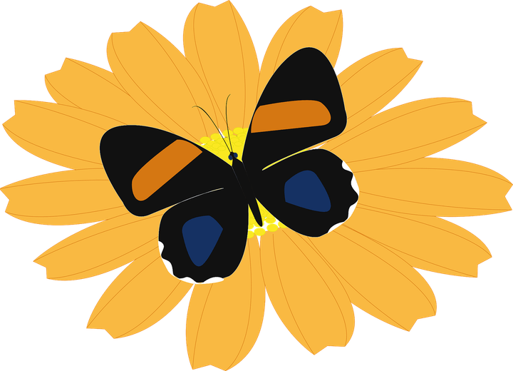 Flower With Butterfly PNG