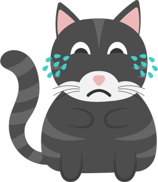 Crying Cat PNG