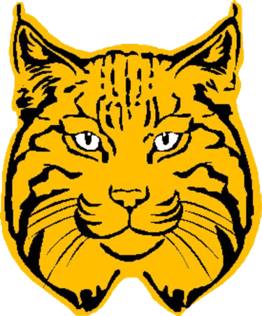 Bob Cat PNG