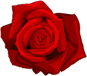 Rose Tattoo PNG