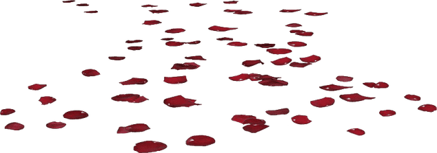 Flower Petals PNG