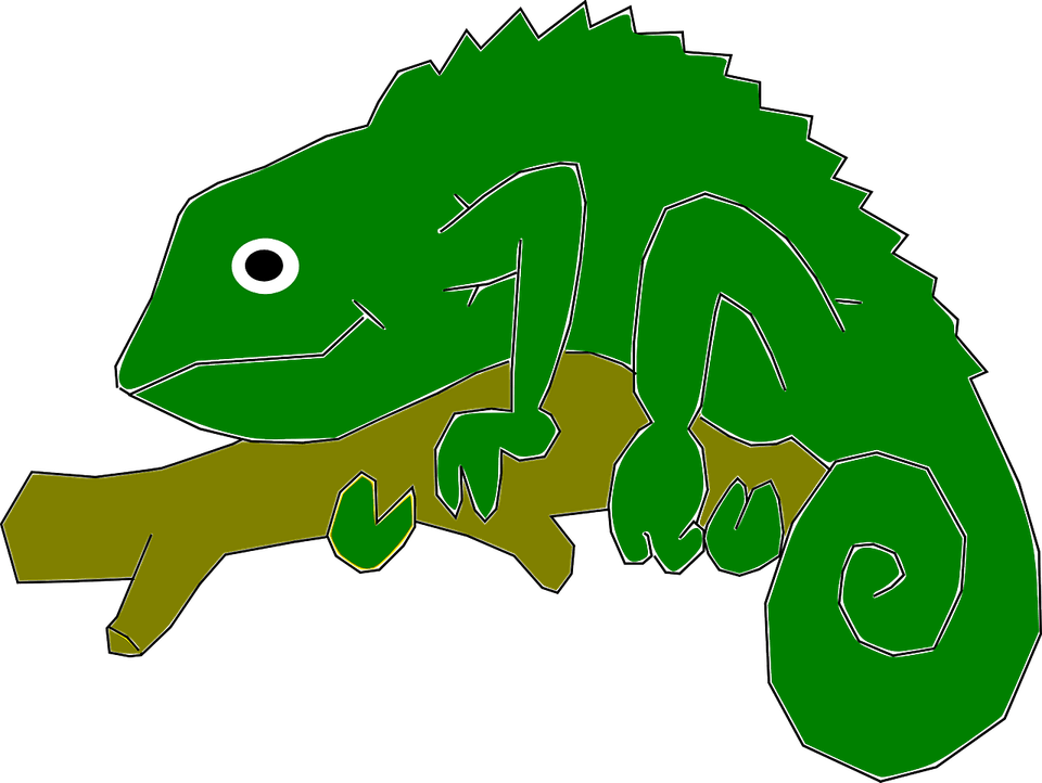 Madagascar Iguanids PNG